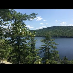 Meet your Posher, Sophia